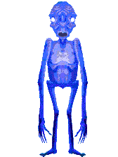 legendary ice elemental