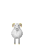 ram