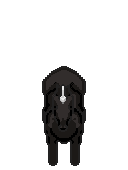 black unicorn
