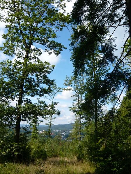 File:20260322160655!Summer201009 P1010034.JPG