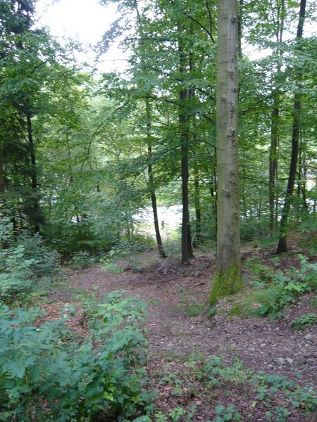 File:Summer201009 P1000956.JPG